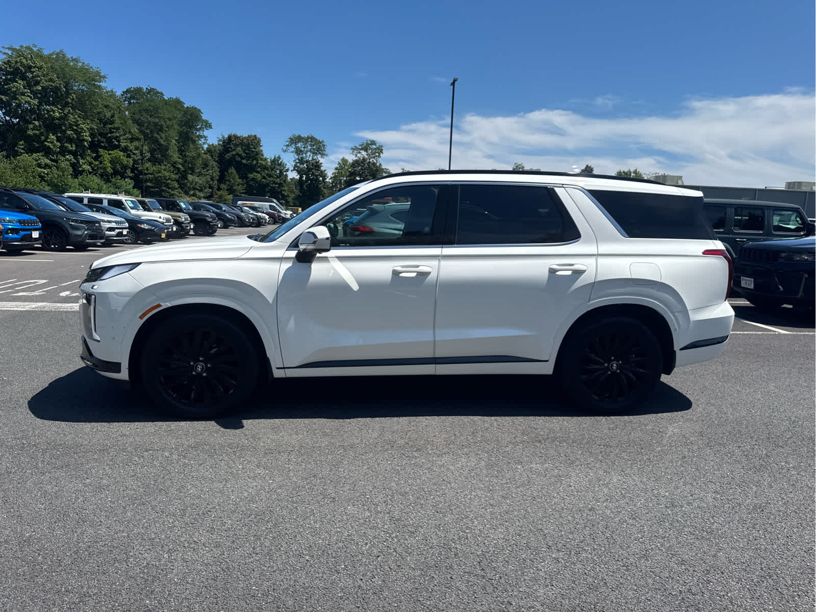 2025 Hyundai Palisade Calligraphy Night Edition